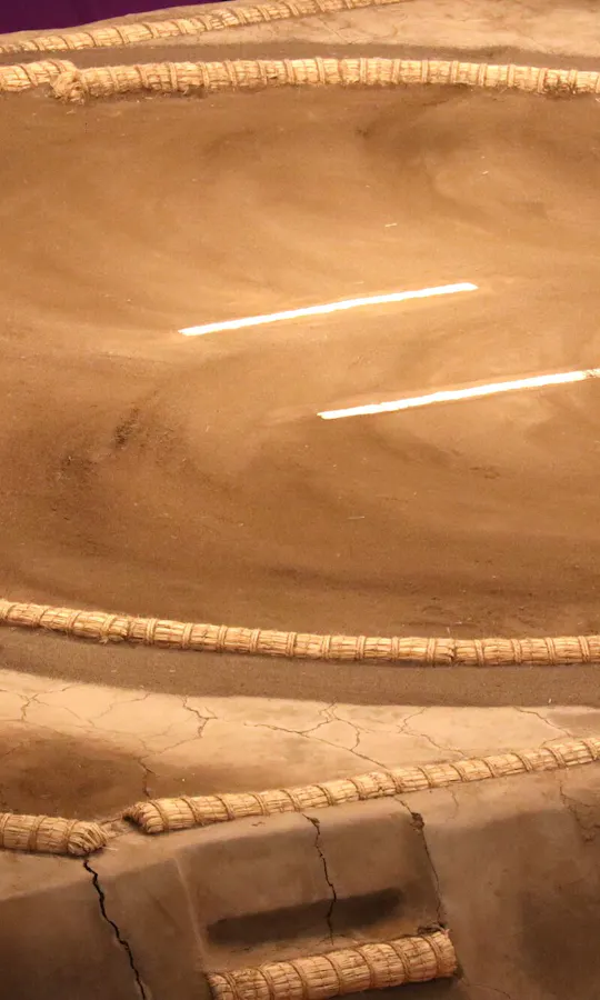 Sumo Ring Sumo Ring
