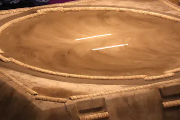 Sumo Ring