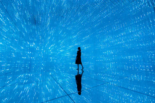 Tokyo Tower Main Deck & teamLab Planets TOKYO DMM Combo Tickets