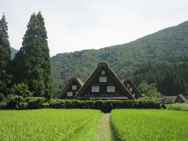 Shirakawa-go and Takayama Platinum Route Tour