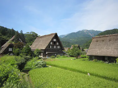 Shirakawa-go and Takayama Platinum Route Tour