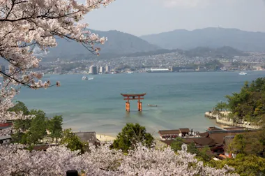 Hiroshima and Miyajima Tour