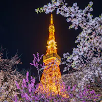 Tokyo Tower 21-day Japan itinerary route overview