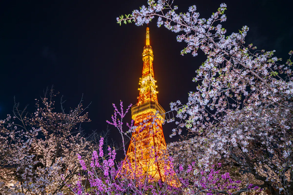 Tokyo Tower 21-day Japan itinerary route overview