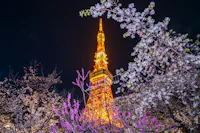 21-day Japan itinerary route overview