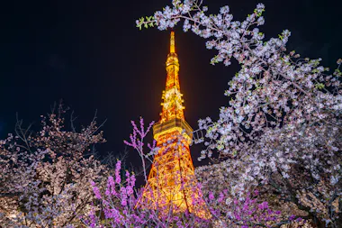 Tokyo Tower