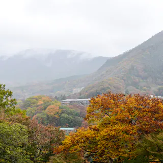 Miyanoshita Miyanoshita