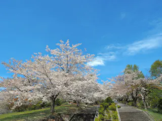 Temiya Green Botanical Garden
