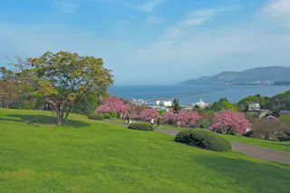 Temiya Green Botanical Garden
