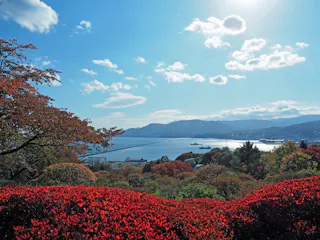 Temiya Green Botanical Garden