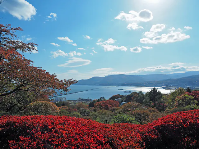 Temiya Green Botanical Garden