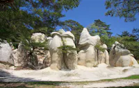 Jodomatsu Park, Koriyama