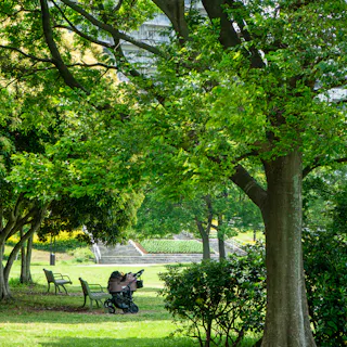 Makuhari Kaihin Park, Chiba Makuhari Kaihin Park, Chiba