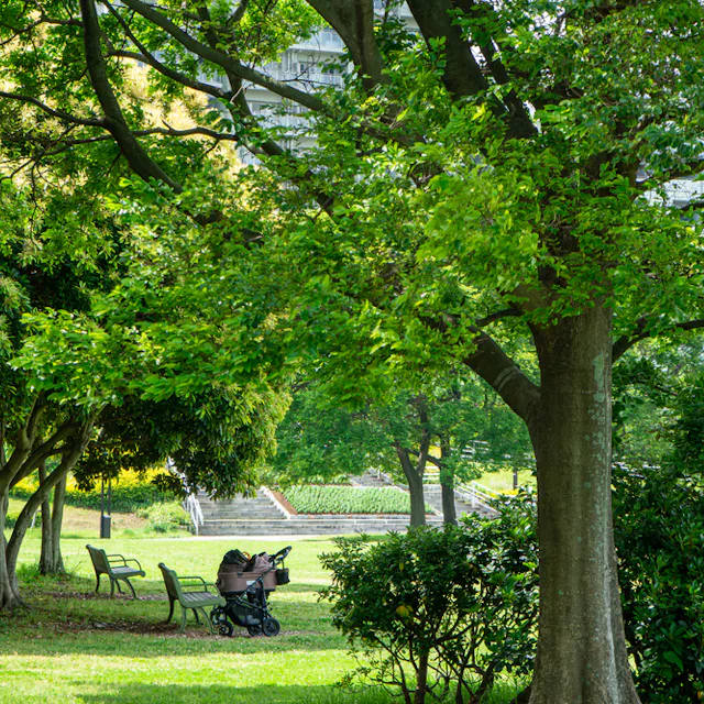 Makuhari Kaihin Park, Chiba Makuhari Kaihin Park, Chiba