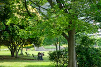 Makuhari Kaihin Park, Chiba