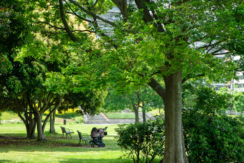 Makuhari Kaihin Park, Chiba