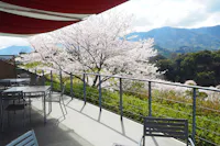 Roadside Station Seishunosato, Kinokawa