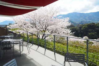 Roadside Station Seishunosato, Kinokawa