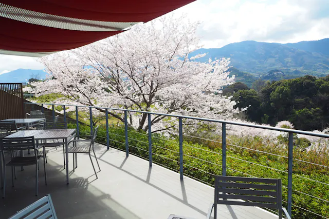 Roadside Station Seishunosato, Kinokawa