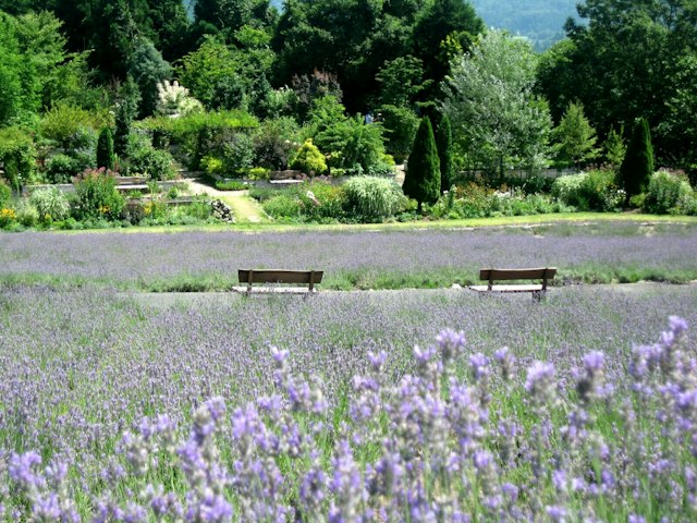 Hiruzen Herb Garden Herbill, Maniwa, Okayama - Trip To Japan