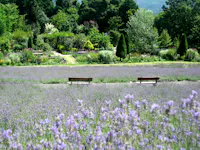 Hiruzen Herb Garden Herbill, Maniwa