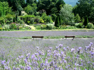 Hiruzen Herb Garden Herbill, Maniwa