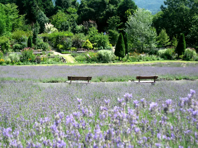 Hiruzen Herb Garden Herbill, Maniwa