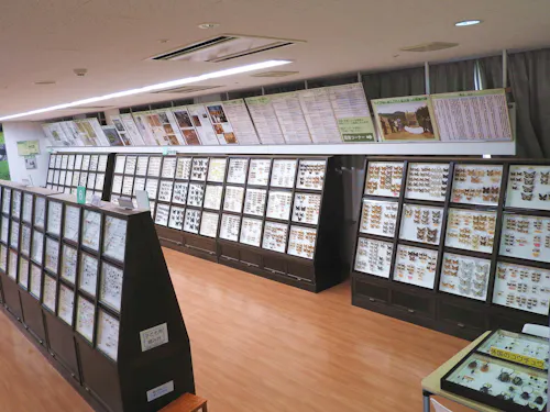 Kurashiki Insect Museum