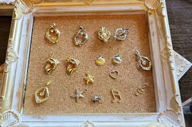 Experience Extracting Pearls From Akoya Oysters