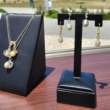 Experience Extracting Pearls From Akoya Oysters Experience Extracting Pearls From Akoya Oysters