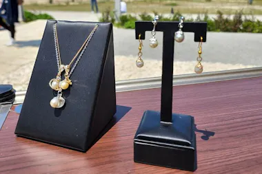 Experience Extracting Pearls From Akoya Oysters