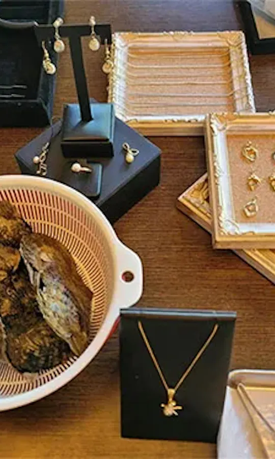 Experience Extracting Pearls From Akoya Oysters Experience Extracting Pearls From Akoya Oysters