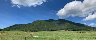 Hiruzen Horse Park, Maniwa