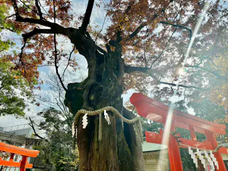 Nitta Shrine