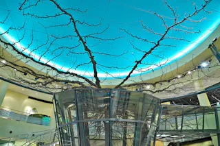 Nashikkokan, Tottori Nijusseiki Pear Museum