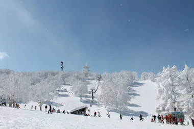 Nozawa Onsen
