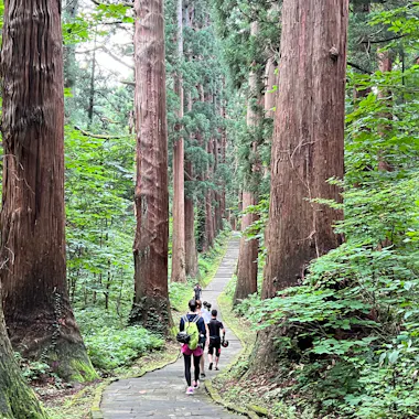 Shonai E-Bike Guided Tour Shonai E-Bike Guided Tour