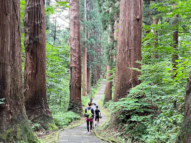 Shonai E-Bike Guided Tour