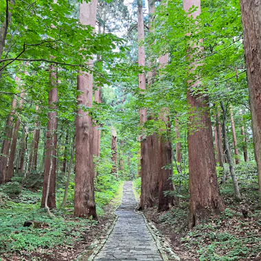 Shonai E-Bike Guided Tour Shonai E-Bike Guided Tour