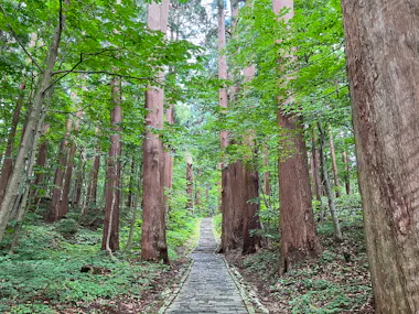 Shonai E-Bike Guided Tour