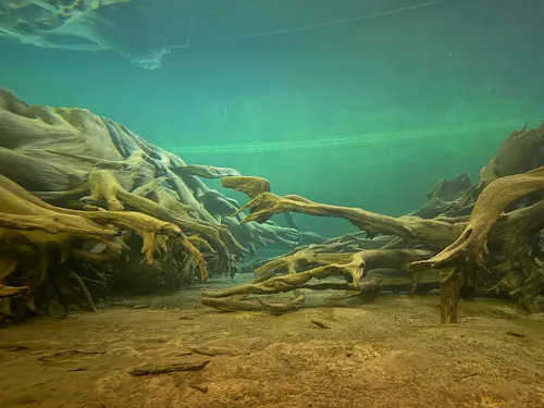 Uozu Buried Forest Museum