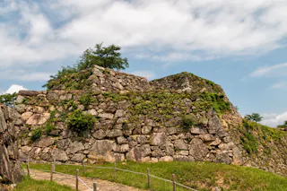 Takeda Castle Ruins (Takeda Castle)