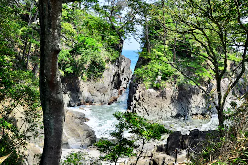 Kamiwarisaki Natural Park, Ishinomaki