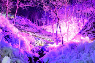 Ashigakubo Ice Pillar