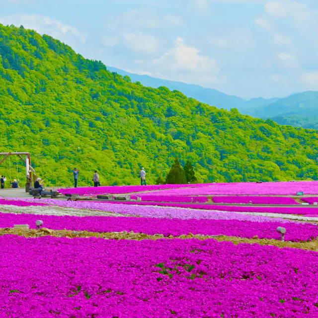 Mt. Chausuyama Mt. Chausuyama