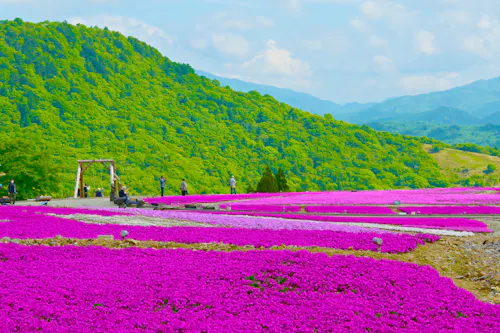 Mt. Chausuyama