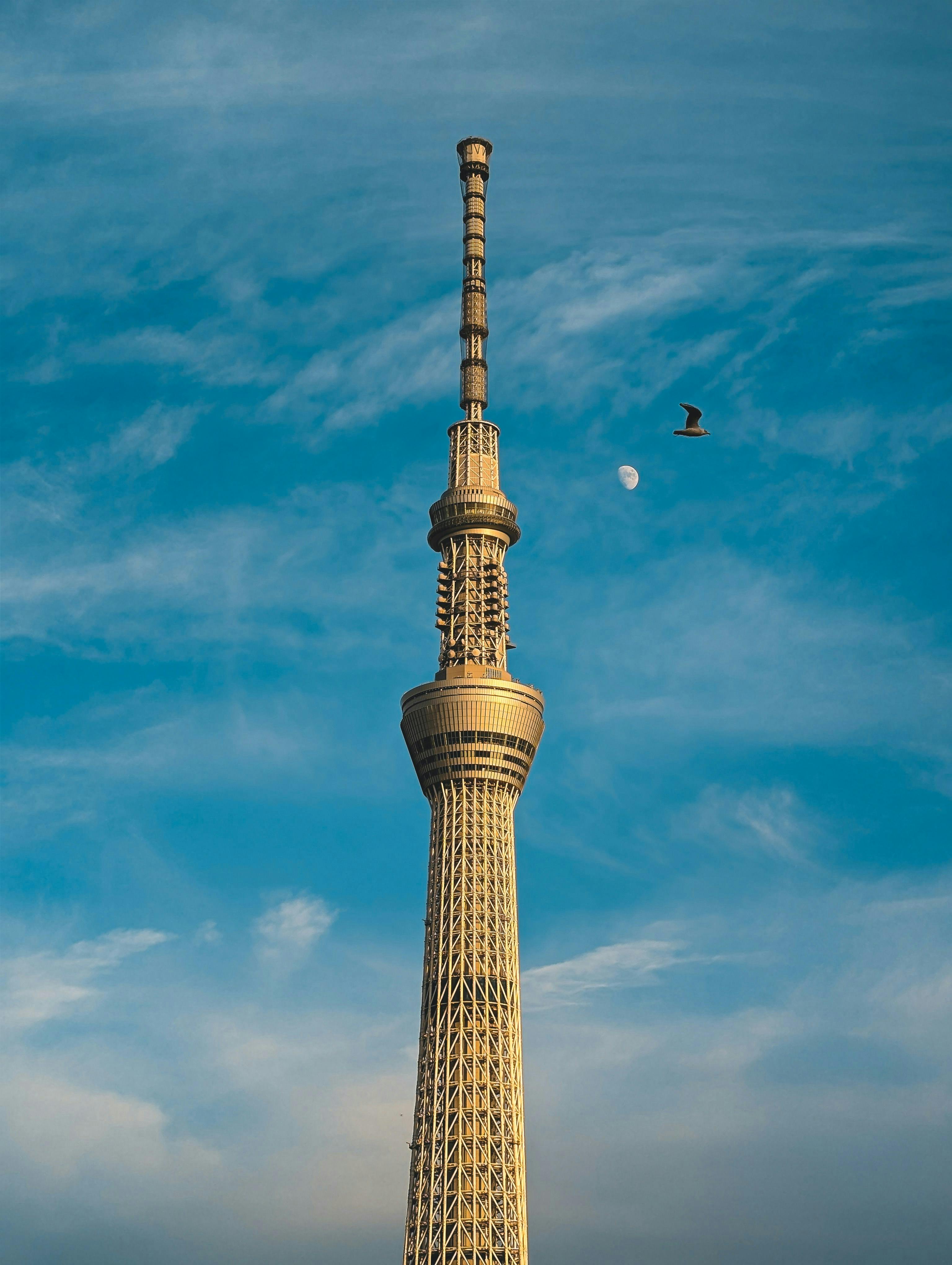 Tokyo Skytree® Private Room Experience with Observation Deck Visit