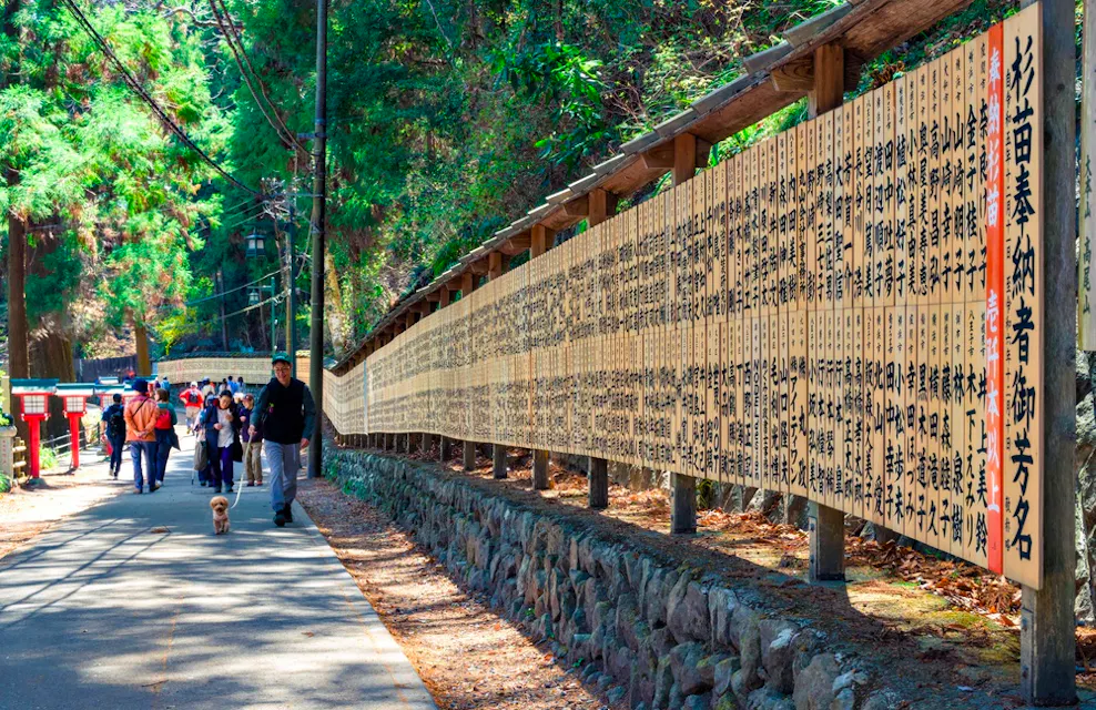 View of hiking path to the top of Mount Takao View of hiking path to the top of Mount Takao