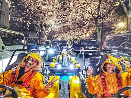 Spring Tour Go-Kart Experience with Insta360 Video & Photos - Trip To Japan
