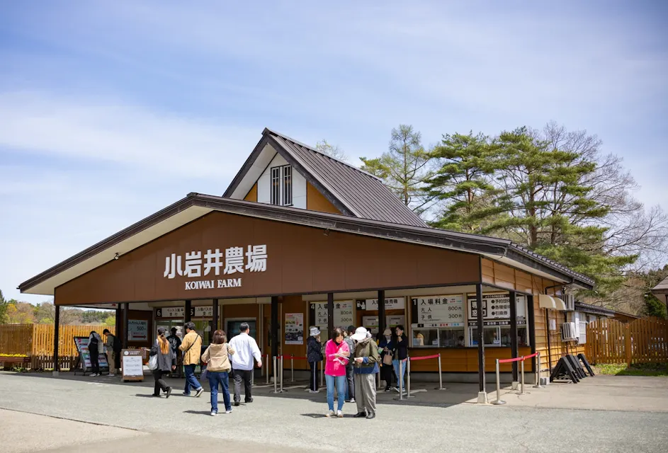 Morning view at the entrance of Koiwai Farm in Spring